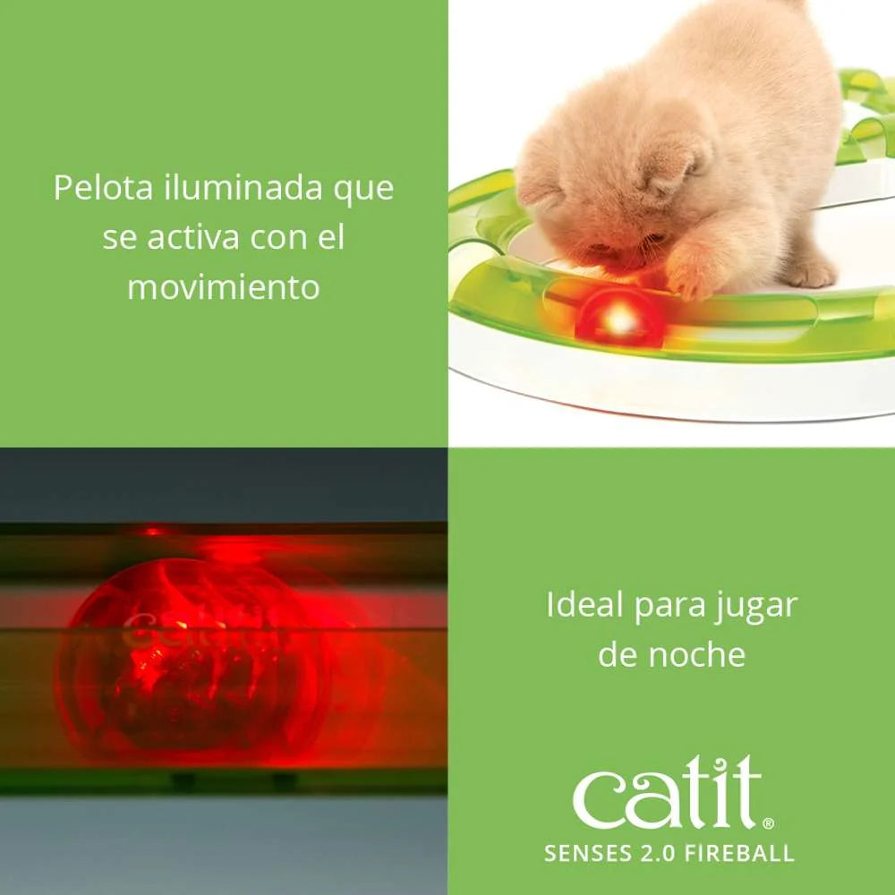Fireball iluminándose al detectar movimiento dentro del circuito Catit.