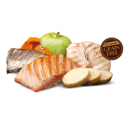 Zen | Healthy Fish - Multicare Fresh Real Salmon & White Fish Grain Free