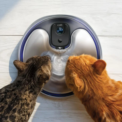 Fuente Catit PIXI sin cables para gatos con cuenco de acero inoxidable y luz UVC 5 L