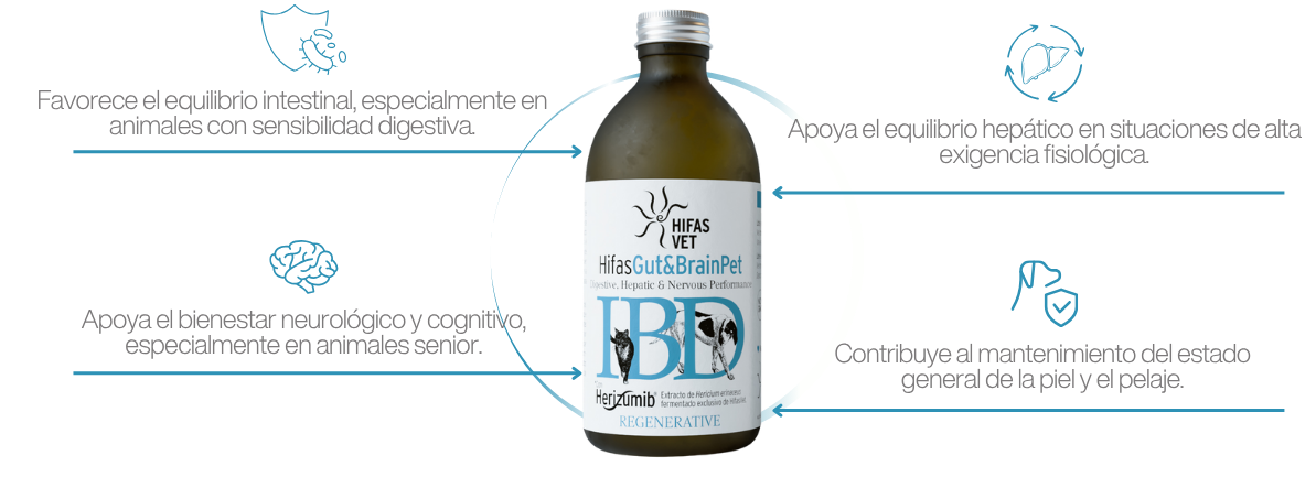 HIFAS Gut&Brain Pet | Complemento natural para perros y gatos