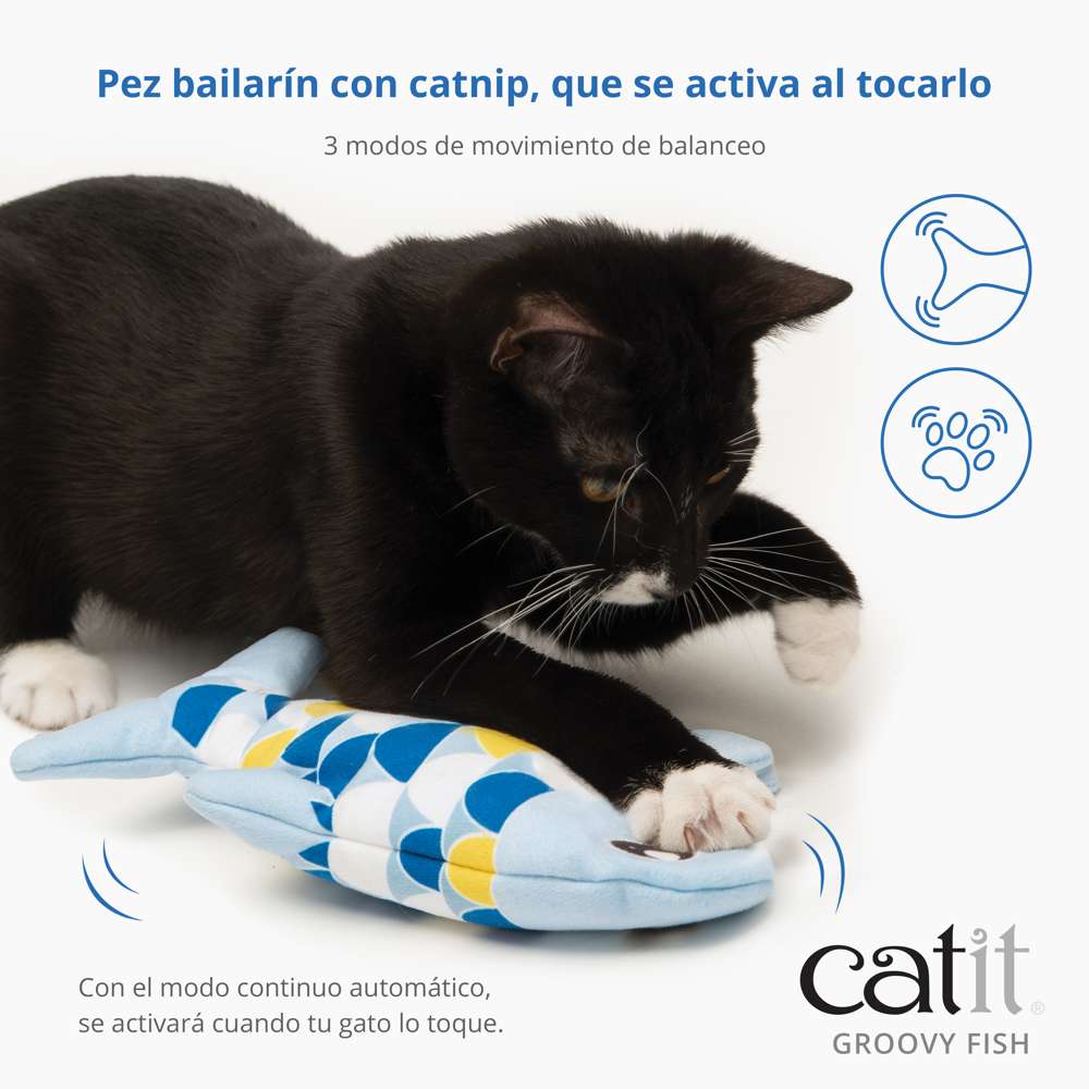 Gato jugando con el juguete Catit Groovy Fish.