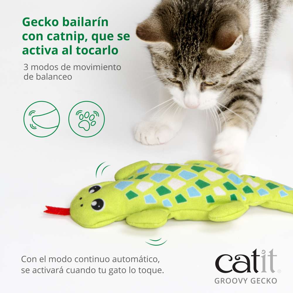 Gato jugando con el juguete Catit Groovy Gecko.