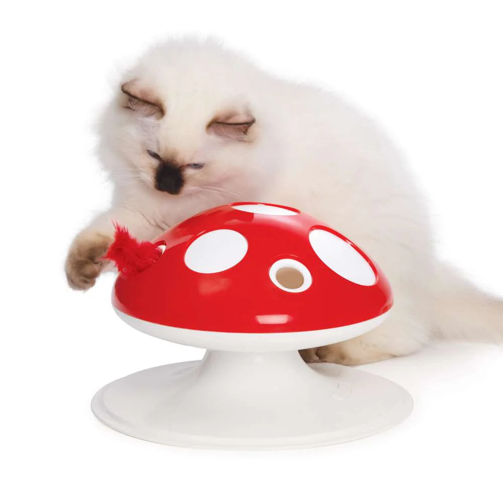 Gato jugando con la Seta Catit Senses 2.0 equipada con la pluma de recambio.