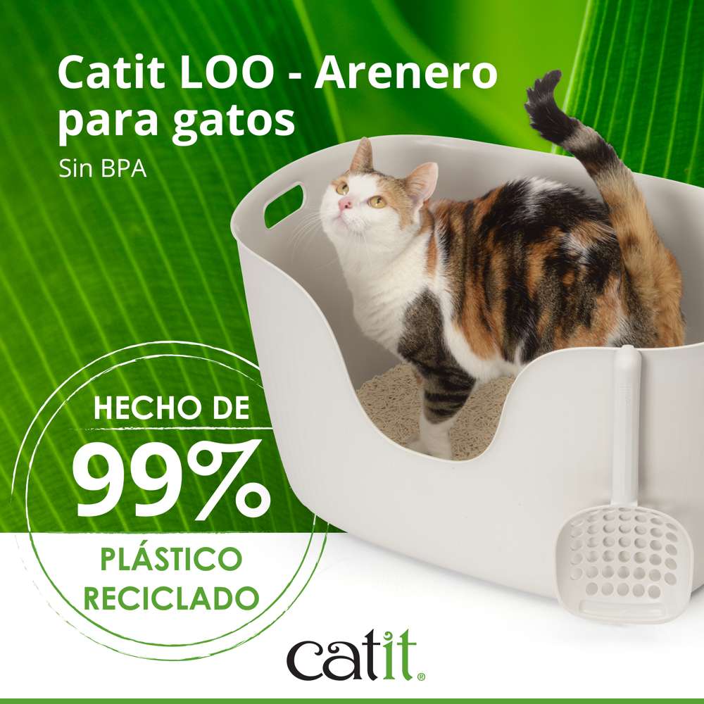 Gato usando el arenero Catit LOO con entrada elevada