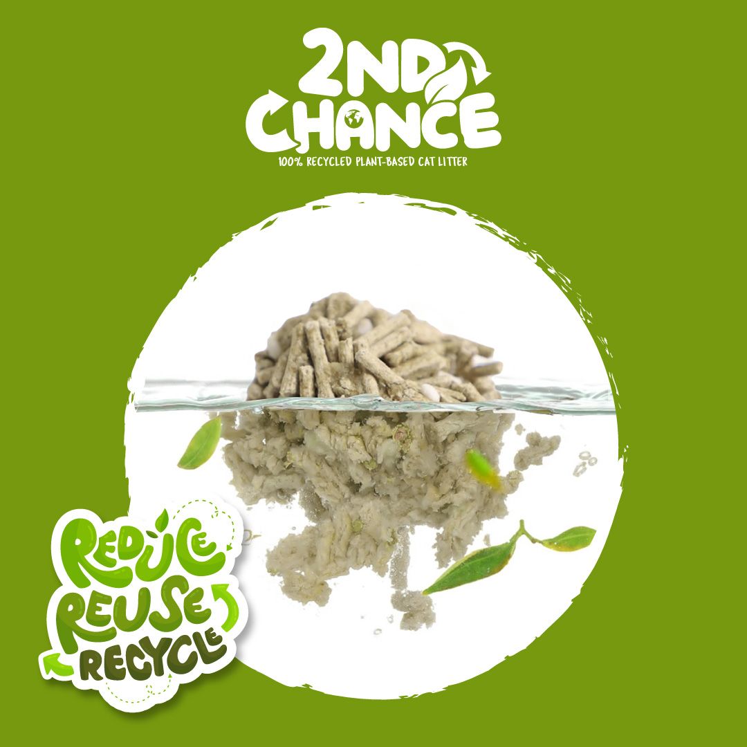 Kit Cat | Arena 2nd Chance - Hojas de Té Verde, Guisante y Yuca