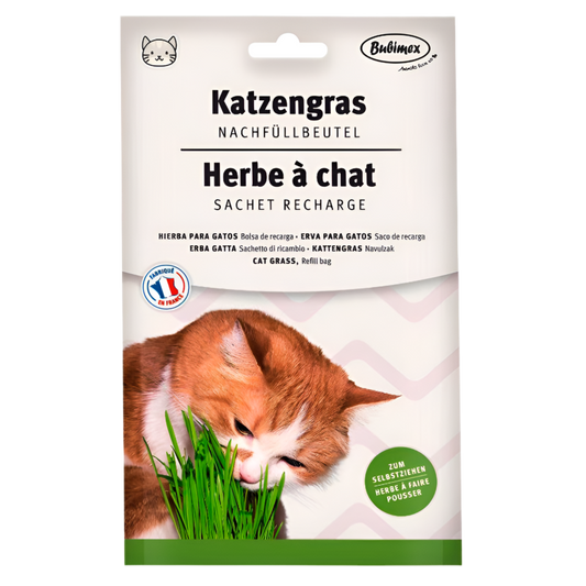 Hierba gatera Bubimex 100 g complemento natural para gatos