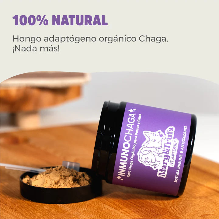 Hongo Chaga orgánico para perros y gatos Mary&Trufa