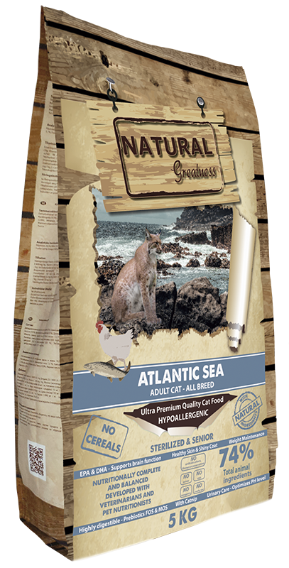 Natural Greatness | Atlantic Sea