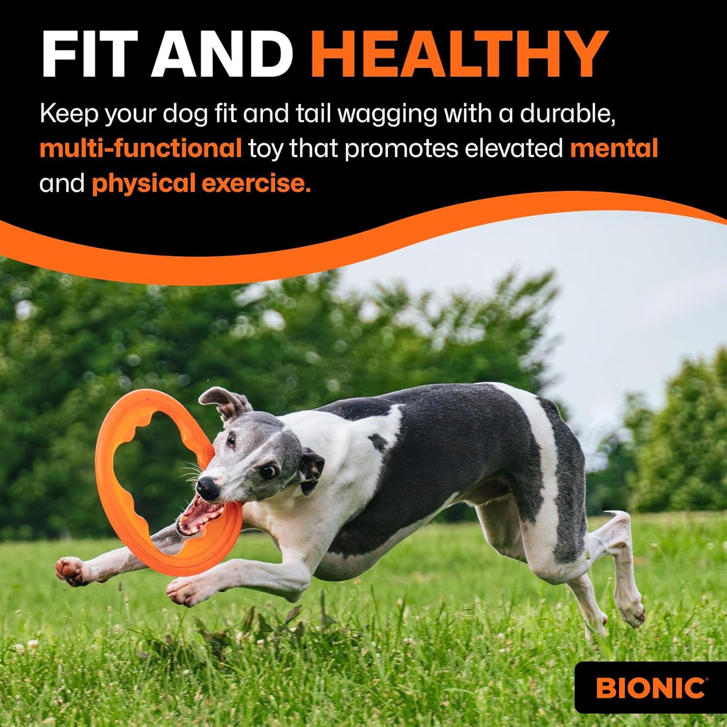 Juguete BIONIC Toss-N-Tug Turbo para juegos al aire libre