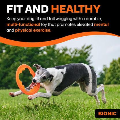 Juguete BIONIC Toss-N-Tug Turbo para juegos al aire libre