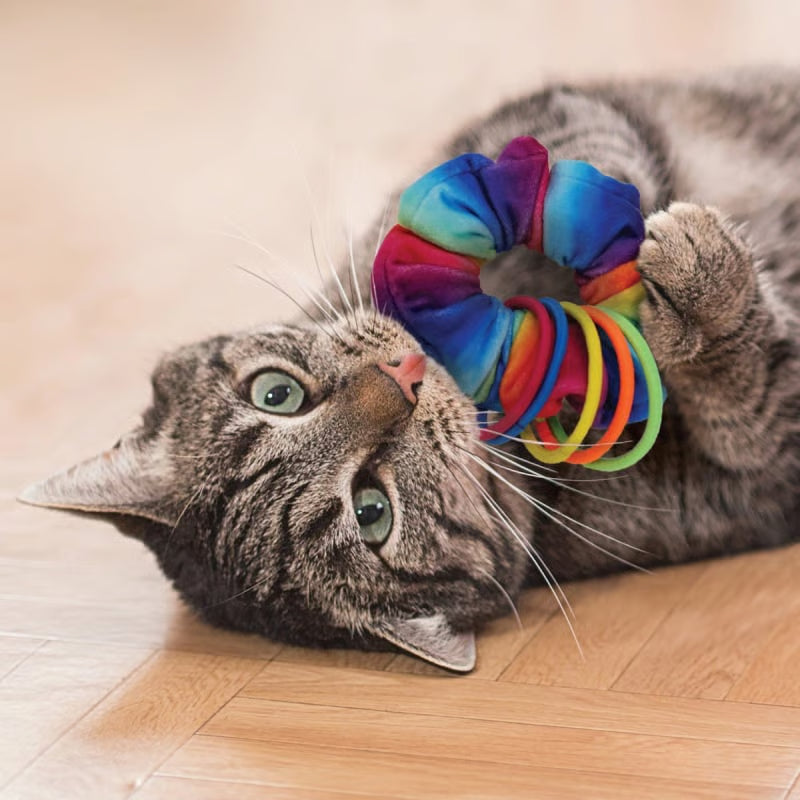 Juguete para gatos tipo scrunchie con elásticos de colores