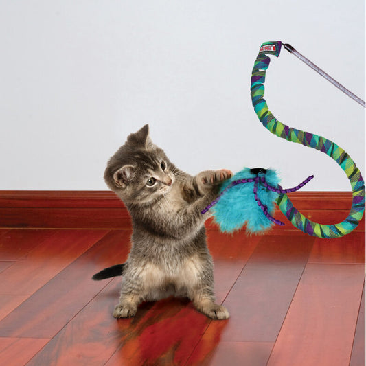 KONG Curlz Teaser caña interactiva elástica para gatos.