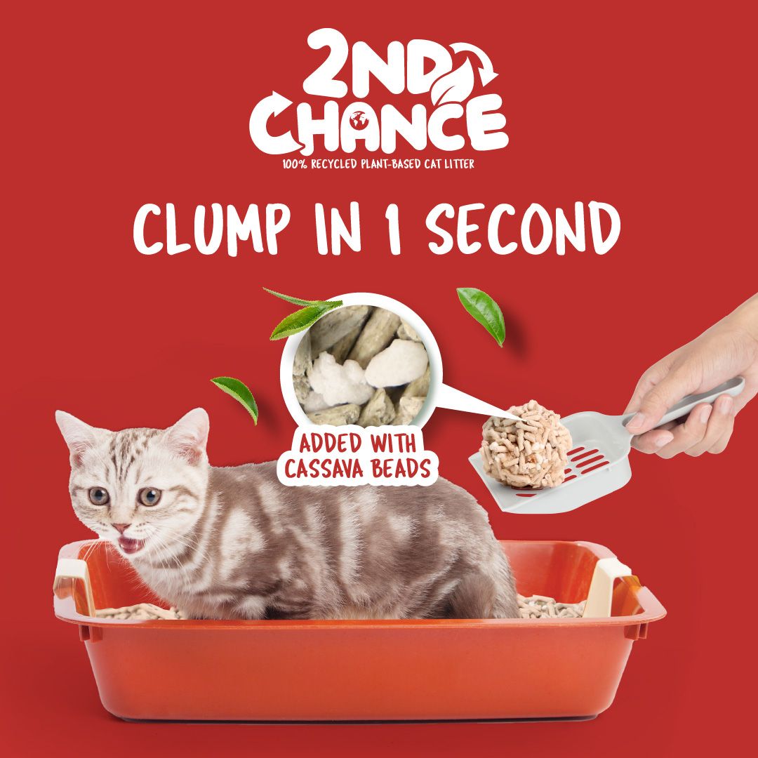 Kit Cat 2nd Chance 2,5 kg té negro