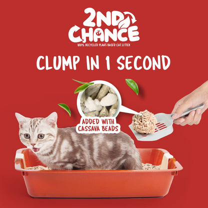 Kit Cat 2nd Chance 2,5 kg té negro
