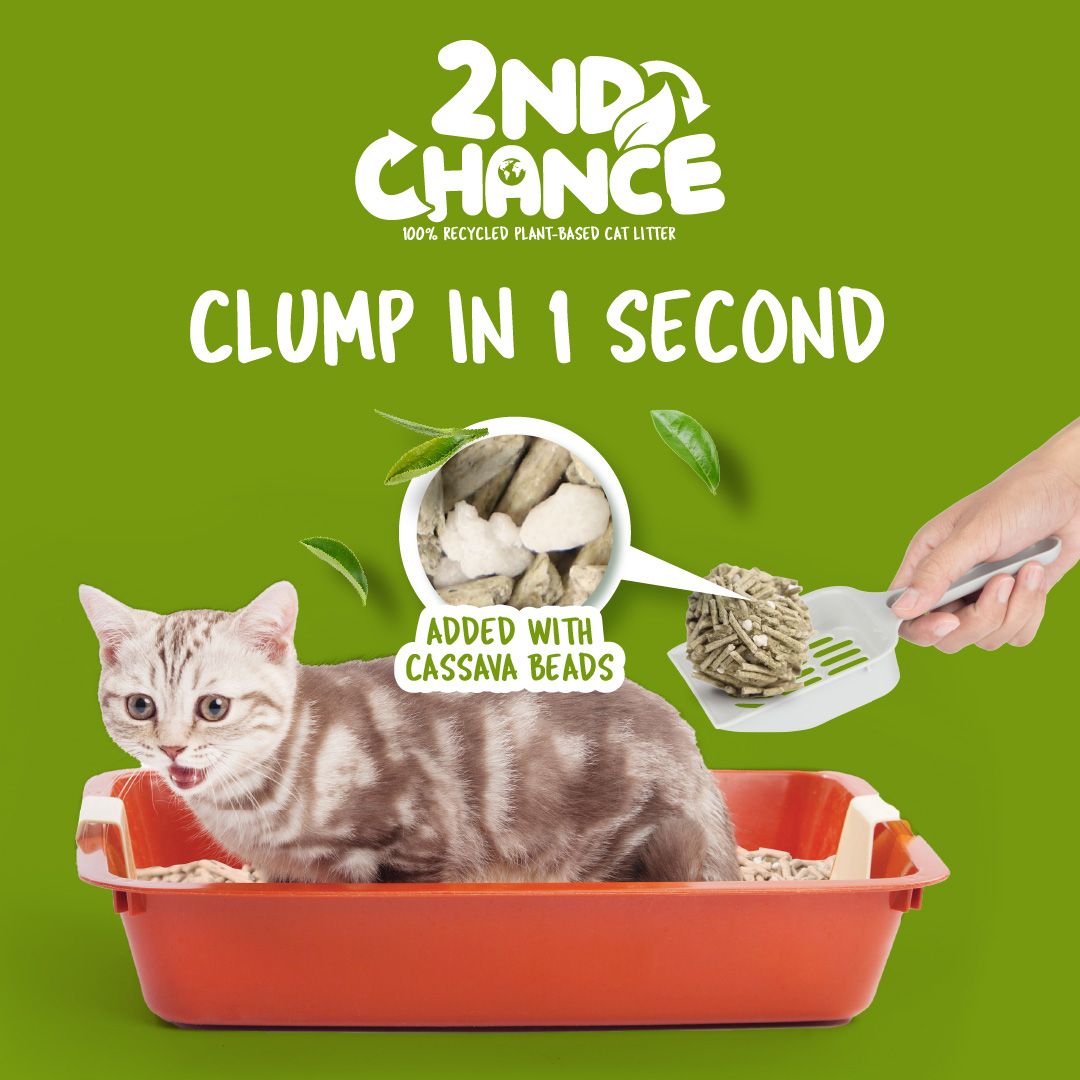Kit Cat 2nd Chance Green Tea 2,5 kg