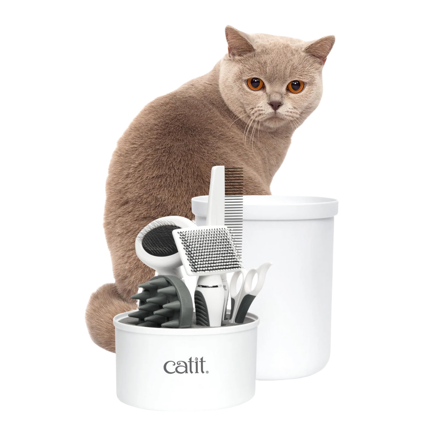 Kit de grooming Catit para gatos de pelo corto con cepillos, peine y cortaúñas