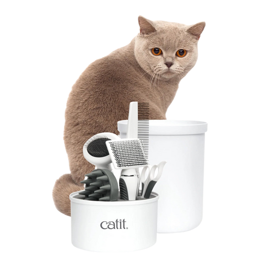 Kit de grooming Catit para gatos de pelo corto con cepillos, peine y cortaúñas