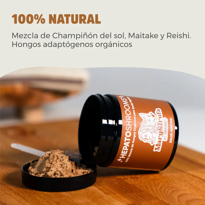 Mary&Trufa HepatoShrooms con Maitake Reishi y Agaricus