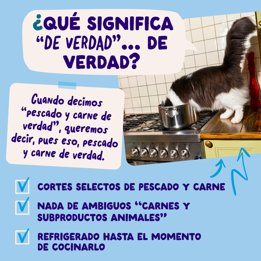 Multipack Captura del Día para gatos