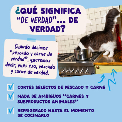 Multipack Captura del Día para gatos