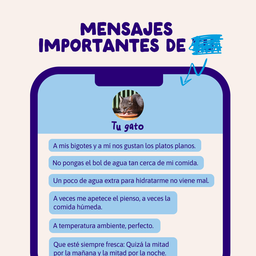 Multipack con salmón, bacalao, atún y trucha