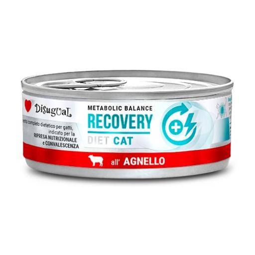 Disugual | Recovery Cordero (12x85g)