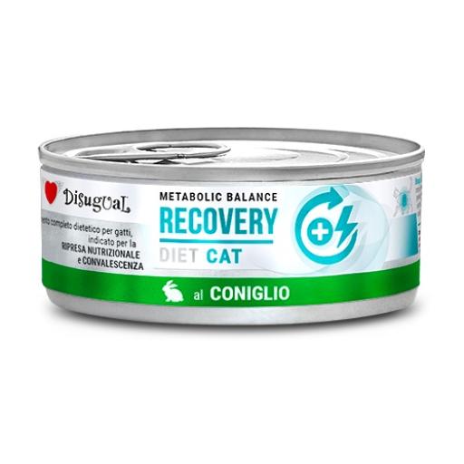 Disugual | Recovery Conejo (12x85g)