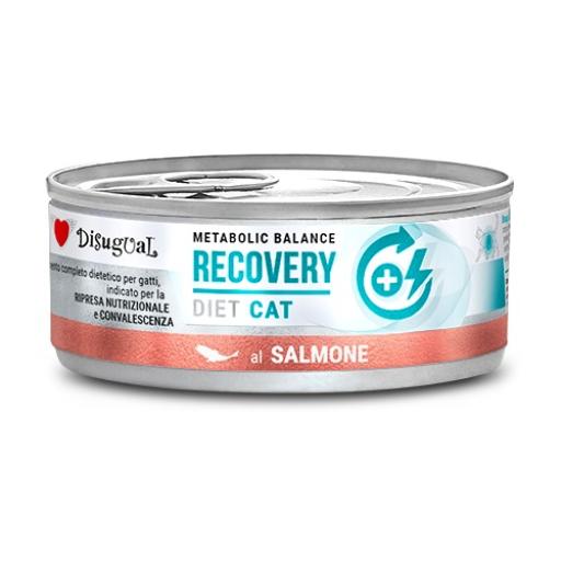 Disugual | Recovery Salmón (12x85g)