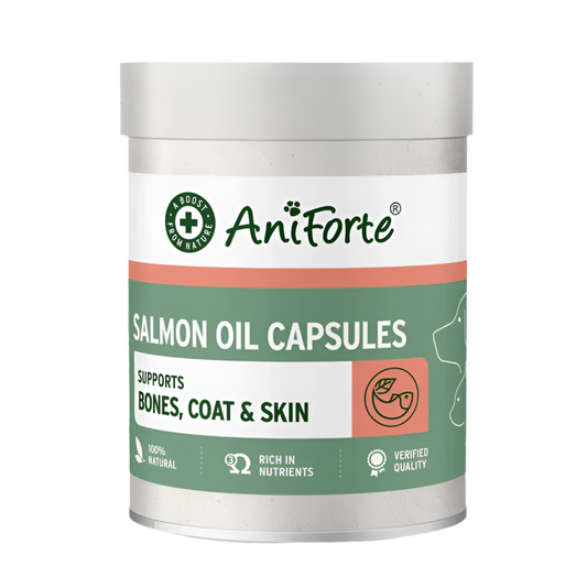 Omega-3 perros y gatos – Cápsulas de aceite de salmón natural