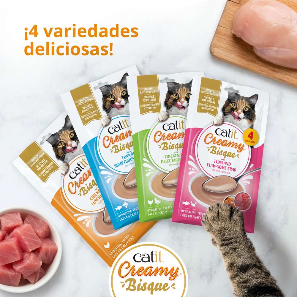 Pack de prueba Catit Creamy Bisque con cuatro paquetes de sabores distintos, 16 sobres de 40 g en total
