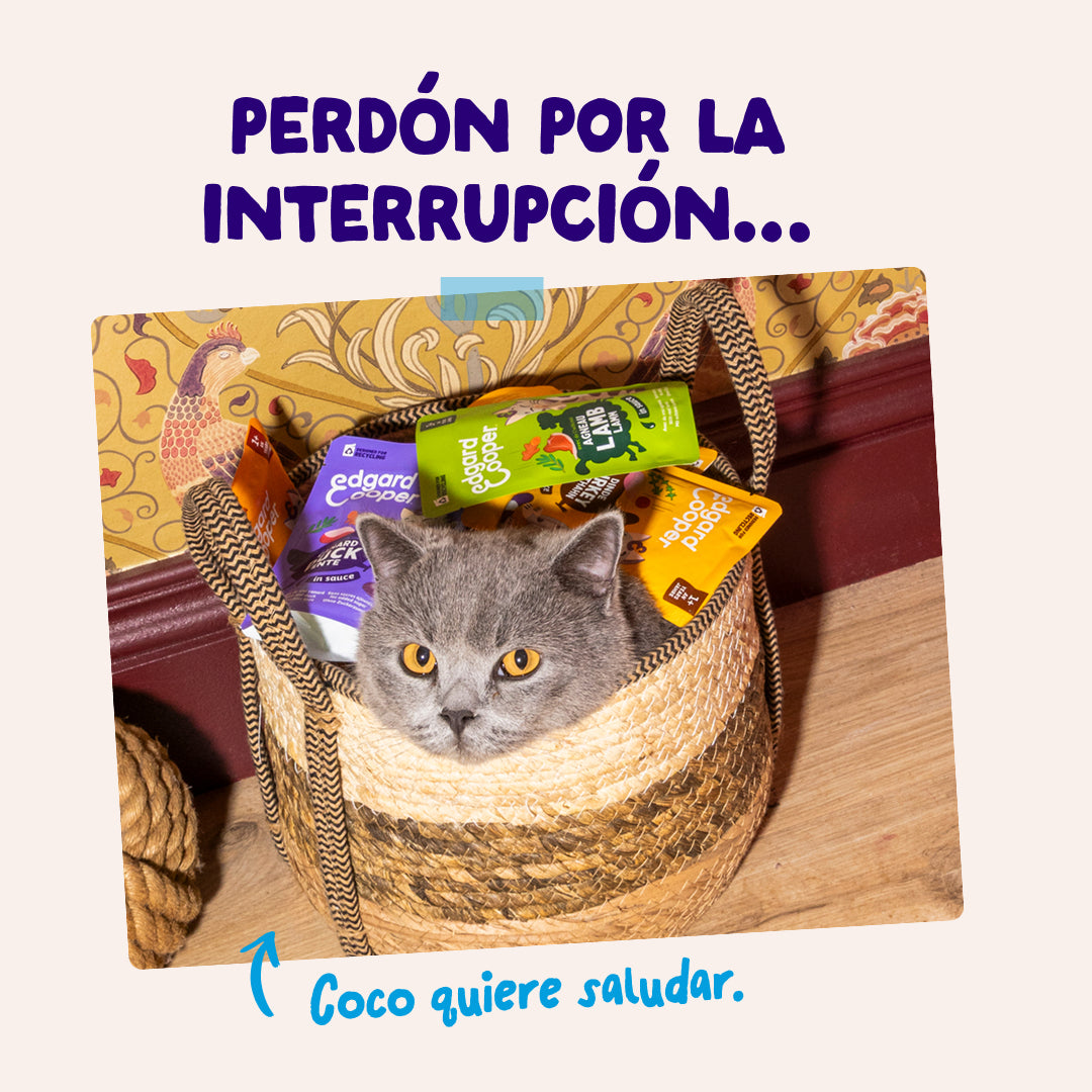 Pack de sobres Edgar & Cooper pescado