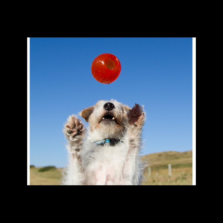Pelota BIONIC flotando en el agua durante el juego