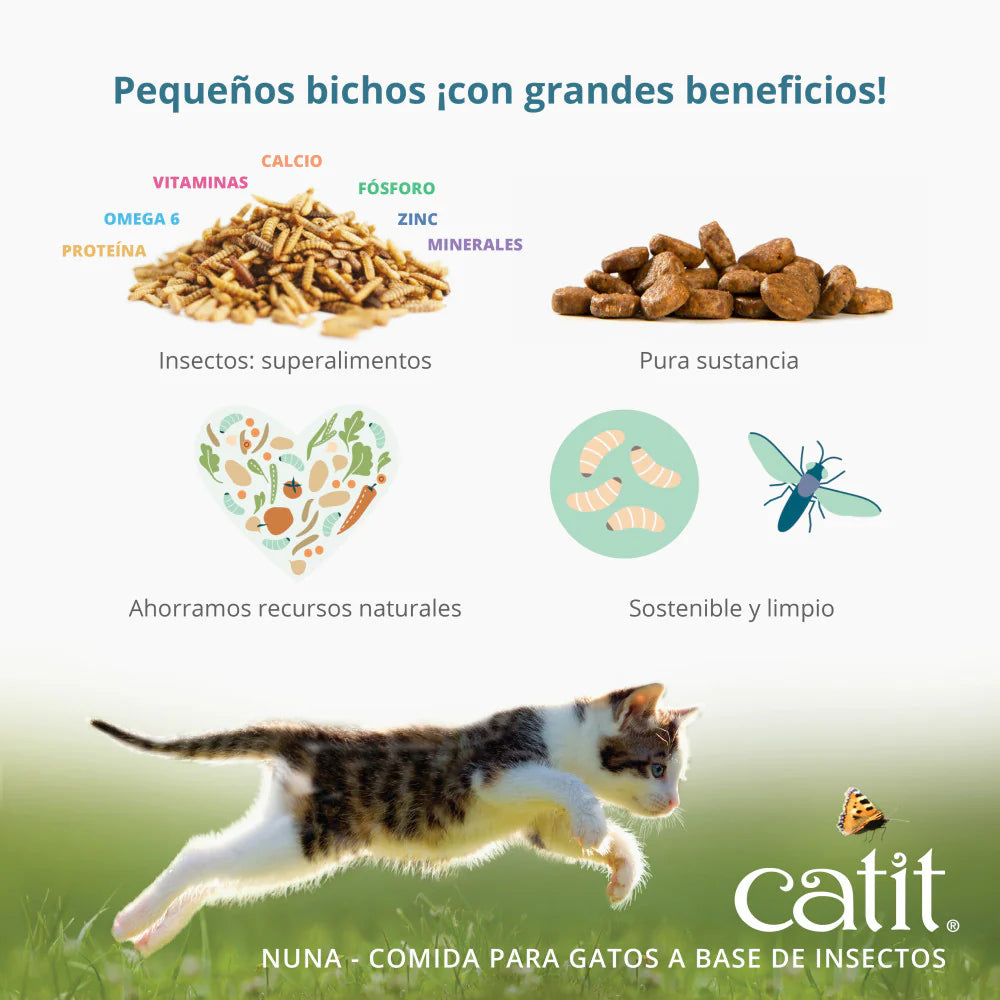 Premios para gatos con proteína de insectos sostenible