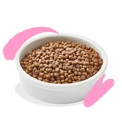 Edgard Cooper | Kitten Pato y Pollo (2kg)