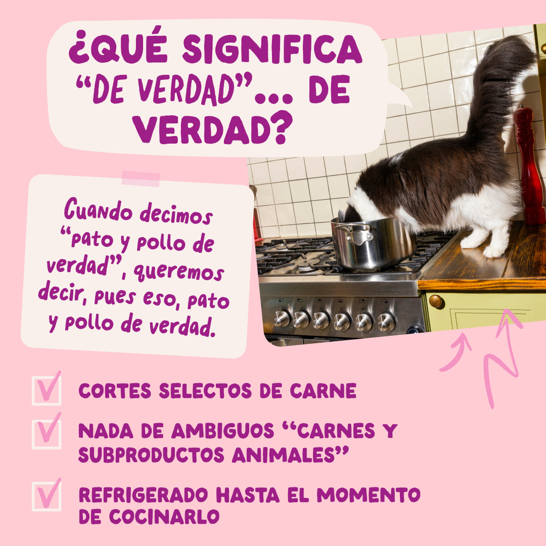 Receta de pato y pollo para gatitos