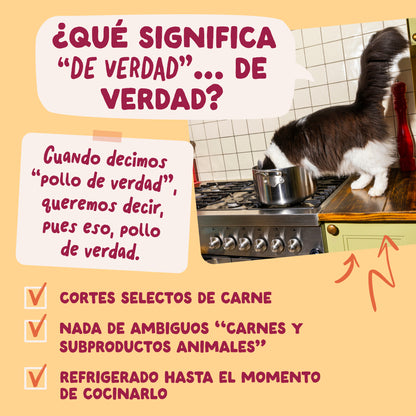 Receta de pollo en salsa Edgar & Cooper