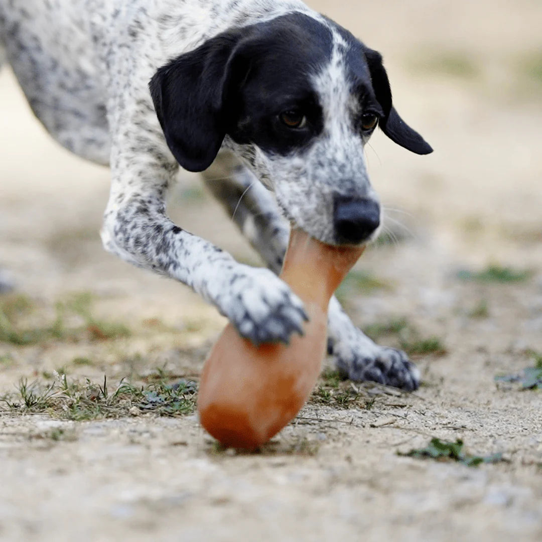 Rub Flipper para perros