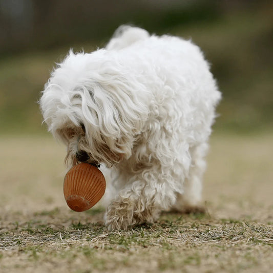 Rub Gossy Egg para perros