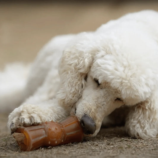 Rub Loop Treat para Perros