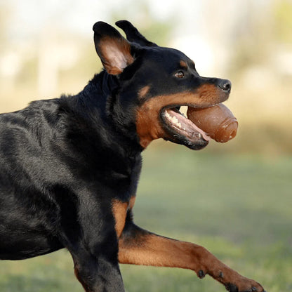 Rub American football para perros