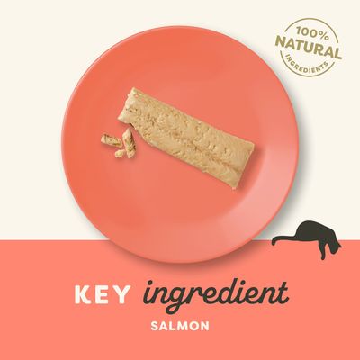 Snack de salmón natural para gatos Applaws