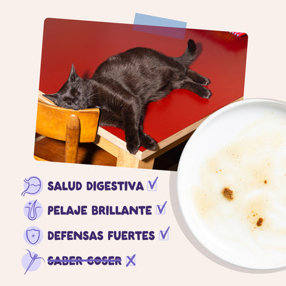 Sobre Edgar & Cooper pato y pavo