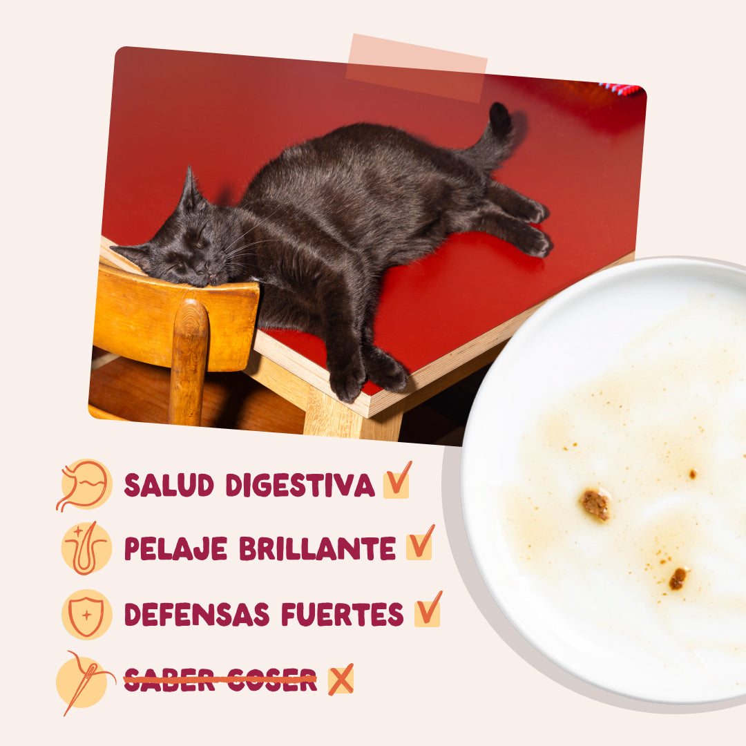 Sobre Edgar & Cooper pollo para gatos