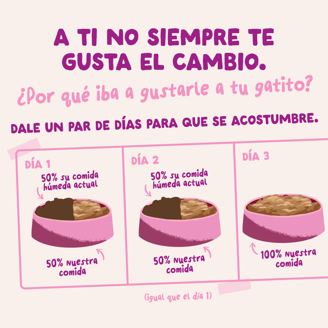 Sobre de comida húmeda para gatitos en salsa