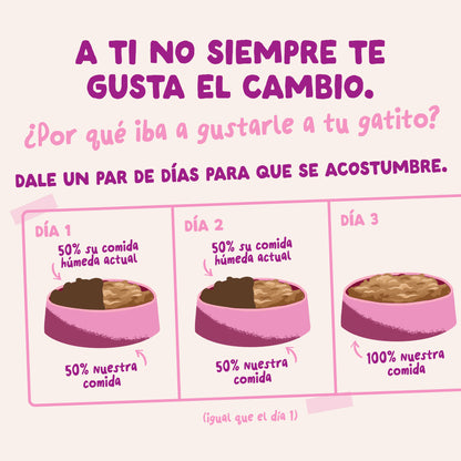 Sobre de comida húmeda para gatitos en salsa