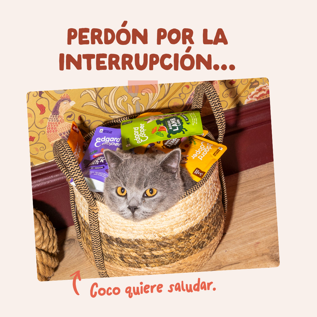 Sobre de pollo y trucha en salsa Edgard & Cooper