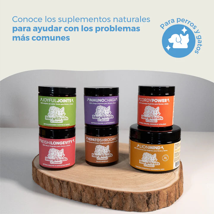 Suplemento antioxidante natural para mascotas InmunoChaga