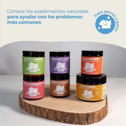 Suplemento antioxidante natural para mascotas InmunoChaga