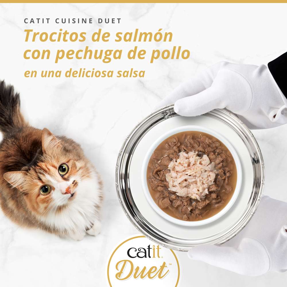 Tarrina Catit Duet salmón