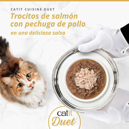 Tarrina Catit Duet salmón
